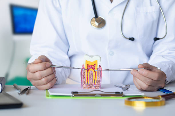 Reliable AK Emergency Dentist Solutions